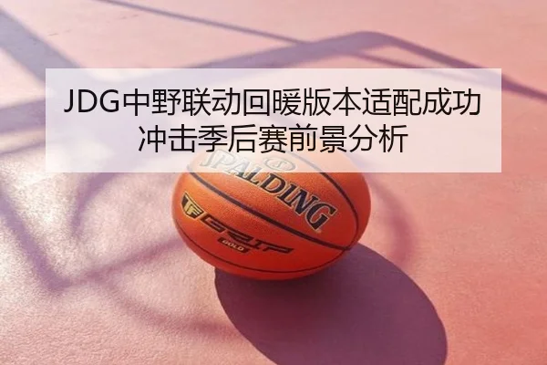 JDG中野联动回暖版本适配成功冲击季后赛前景分析