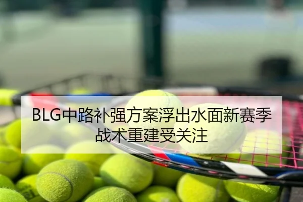 BLG中路补强方案浮出水面新赛季战术重建受关注