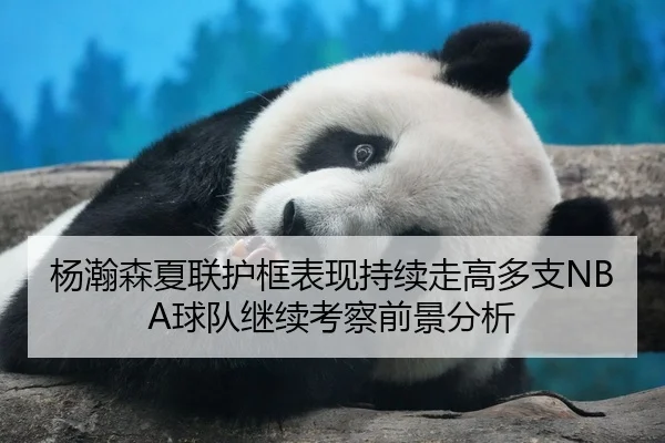 杨瀚森夏联护框表现持续走高多支NBA球队继续考察前景分析