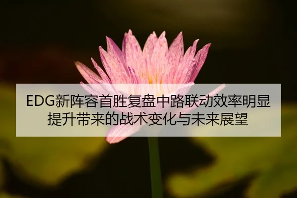 EDG新阵容首胜复盘中路联动效率明显提升带来的战术变化与未来展望