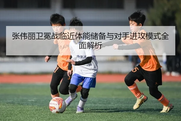 张伟丽卫冕战临近体能储备与对手进攻模式全面解析