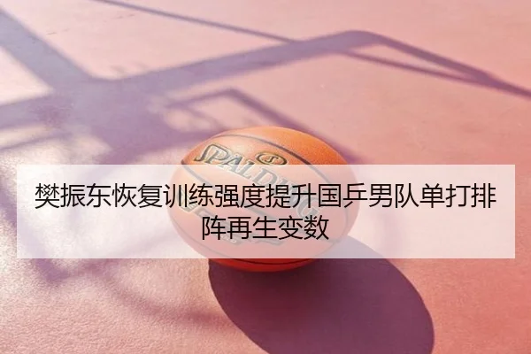 樊振东恢复训练强度提升国乒男队单打排阵再生变数